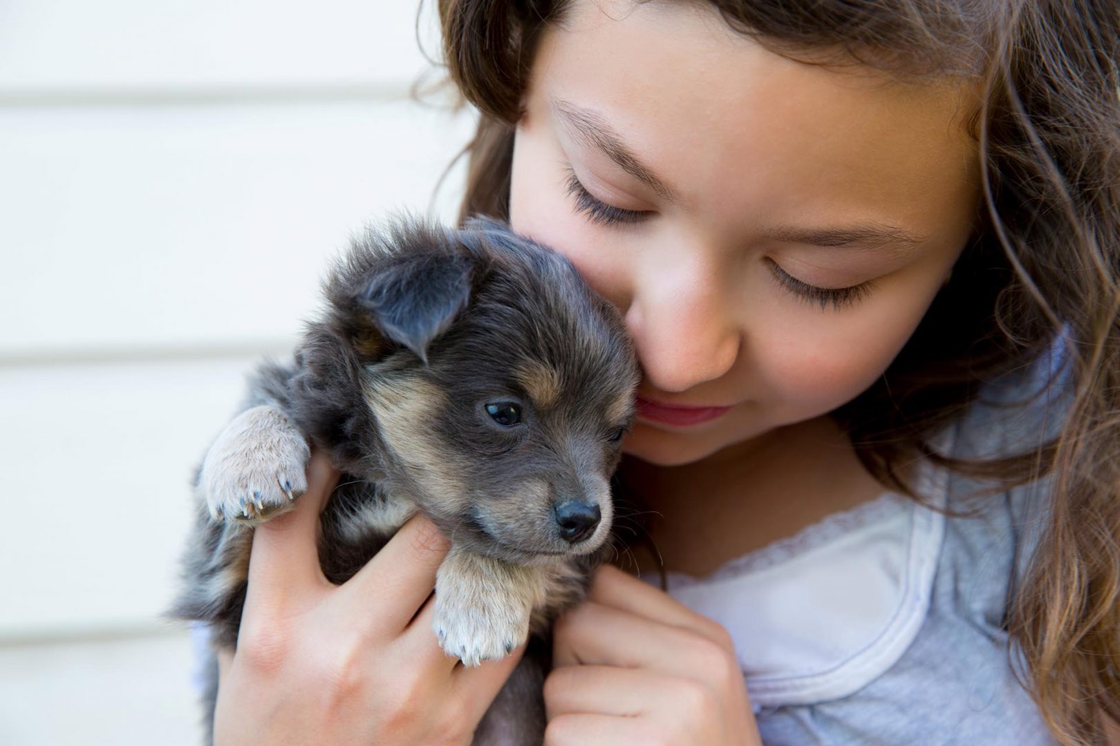 Girl With a Puppy original